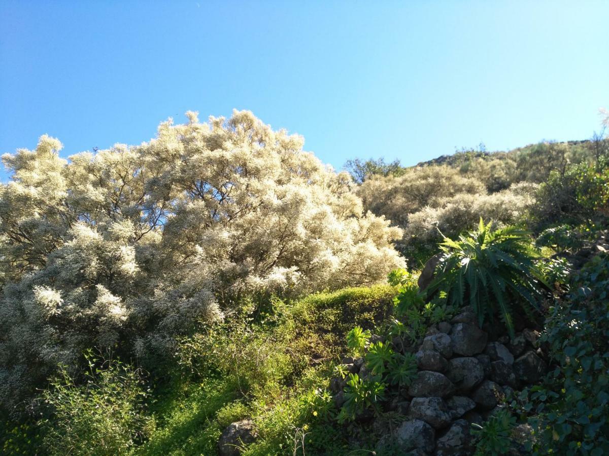 Chalet Ruta Las Lagunetas Vega de San Mateo Dış mekan fotoğraf